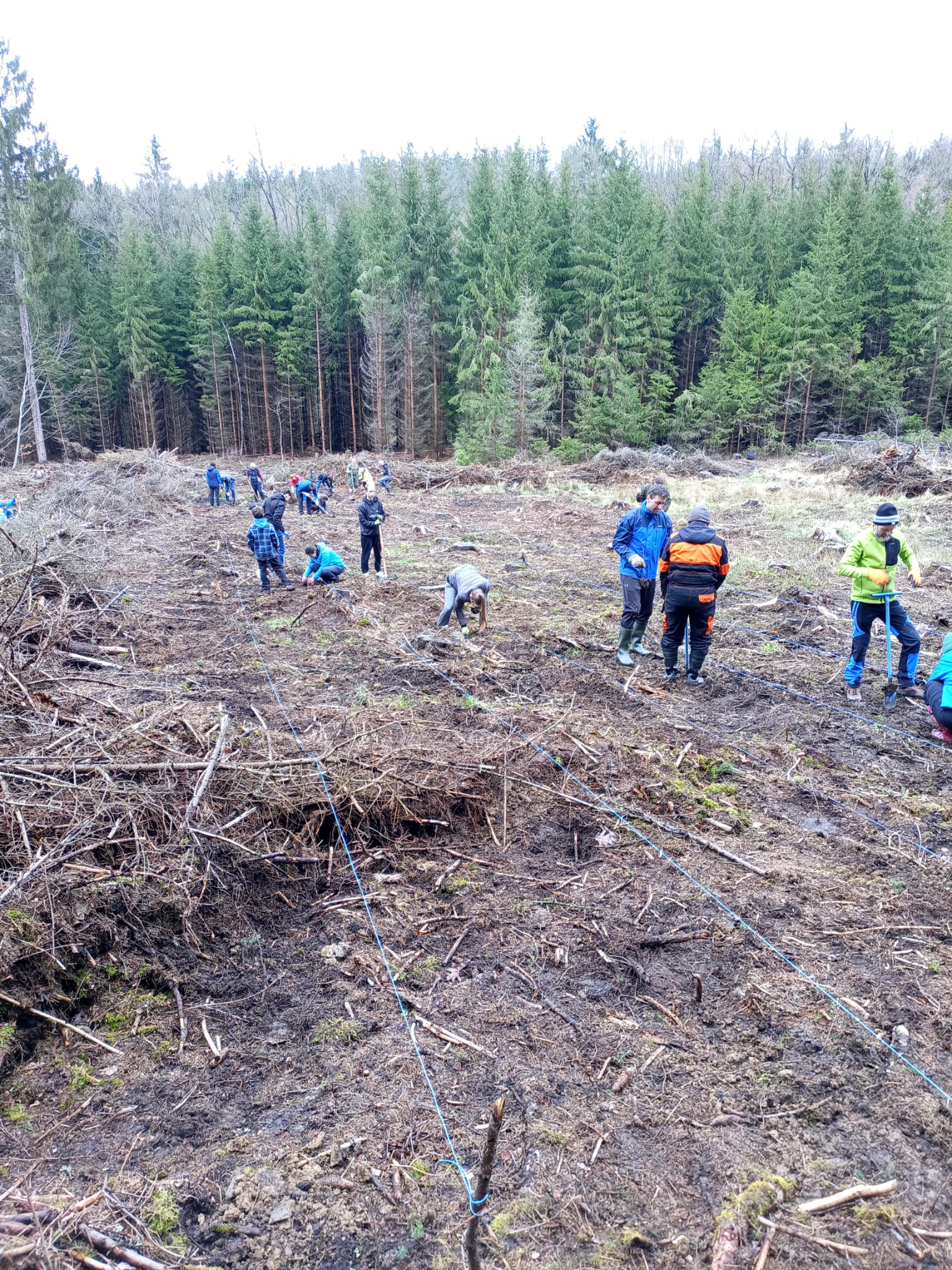 Img-20230415-wa0006-1